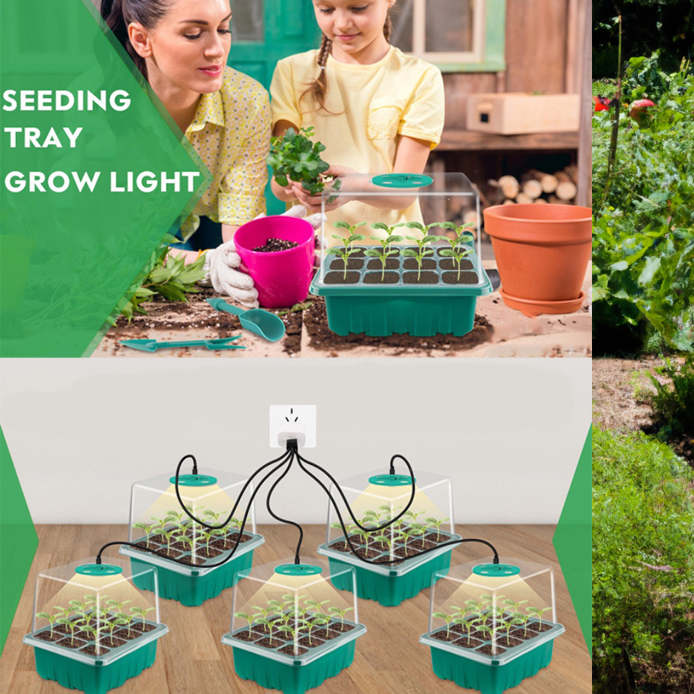 All Season Grow Eco-Friendly 5-Pack Seed Starter Trays with 8 LED Grow Lights, Smart Control Timer