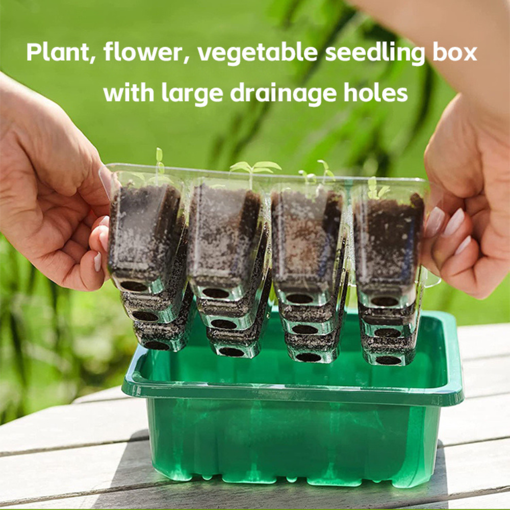 All Season Grow Eco-Friendly 5-Pack Seed Starter Trays with 8 LED Grow Lights, Smart Control Timer