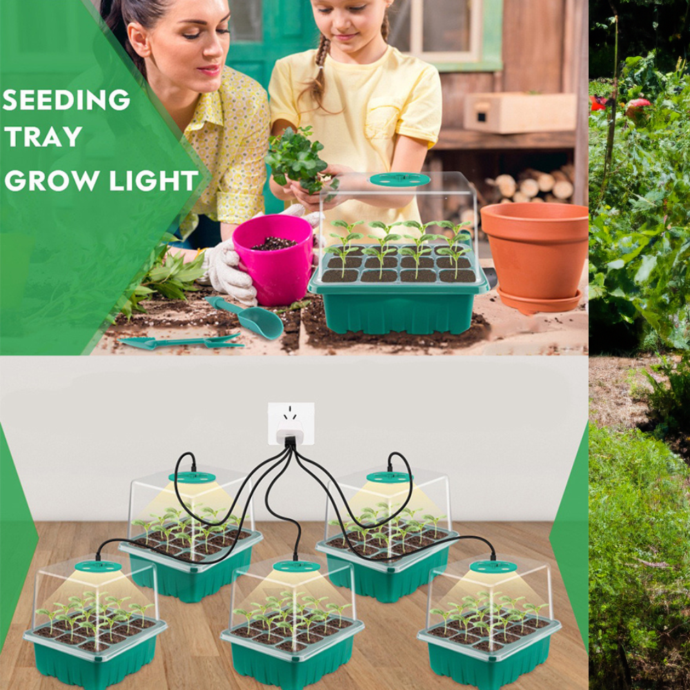 All Season Grow Eco-Friendly 5-Pack Seed Starter Trays with 8 LED Grow Lights, Smart Control Timer, Dimmable, Humidity Control, 60 Cells Indoor Gardening Plant Germination Trays with Humidity Dome